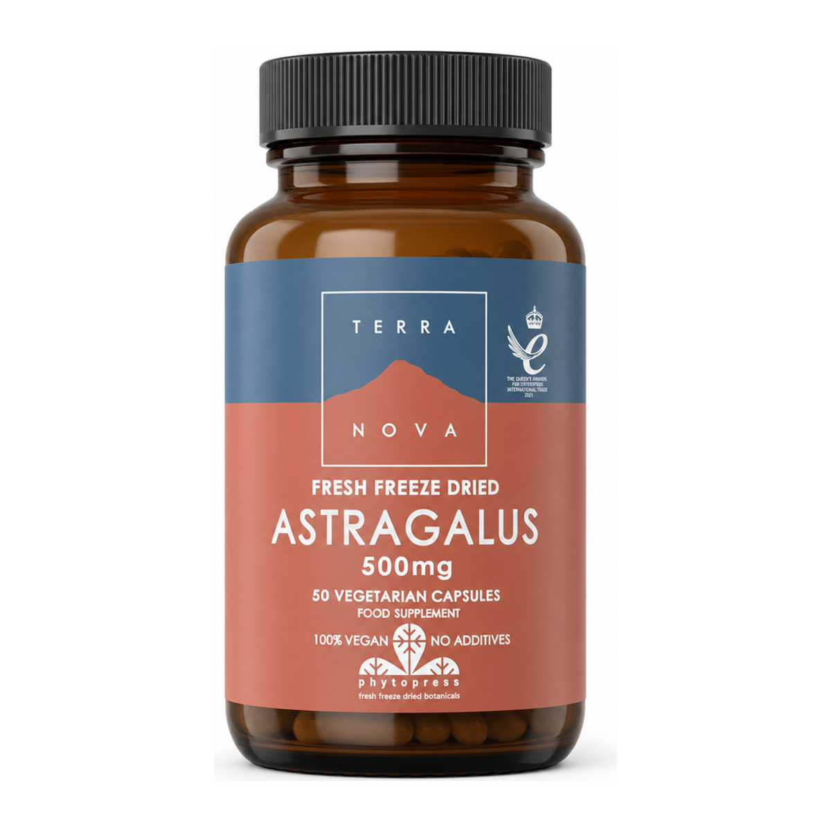 Terranova Astragalus 500mg by Terranova Natural Remedies — front view showing product label and branding, studio product photo on white background