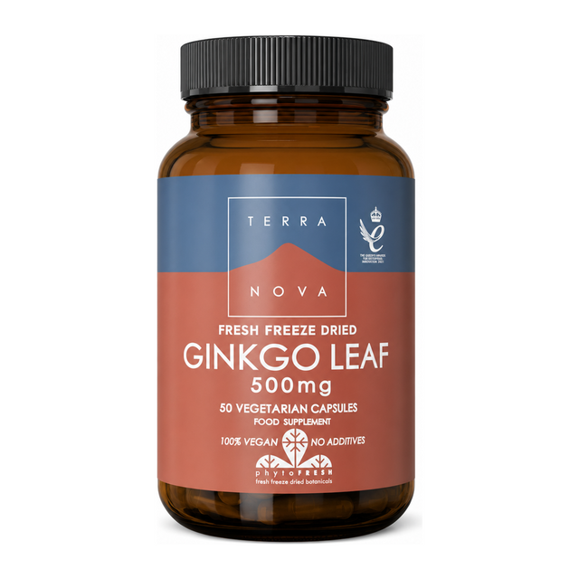 Terranova Ginkgo Leaf 500mg by Terranova Natural Remedies — front view showing product label and branding, studio product photo on white background