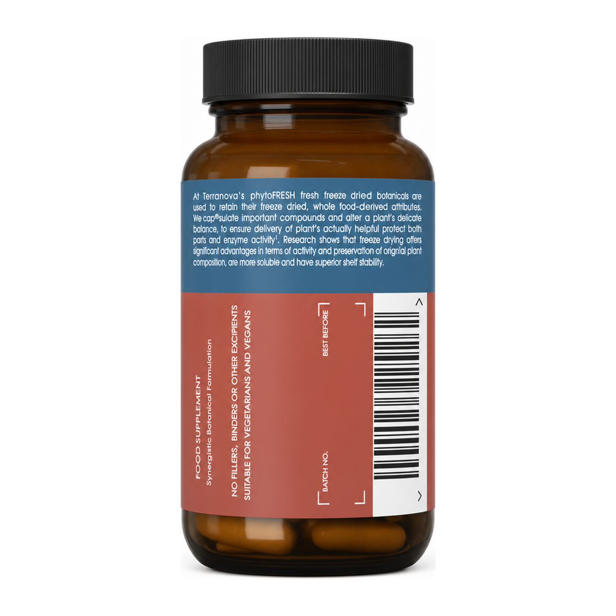 Terranova Ginkgo Leaf 500mg by Terranova Natural Remedies — back view showing ingredients and product details, studio product photo on white background