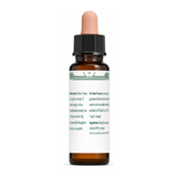 Dr Bach Centaury Bach Flower Remedy by Ainsworths Natural Remedies — back view showing ingredients and product details, studio product photo on white background