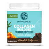 Sunwarrior Collagen Building Protein Peptides Chocolate Fudge by Sunwarrior Vitamin & Mineral Supplements — front view showing product label and branding, studio product photo on white background