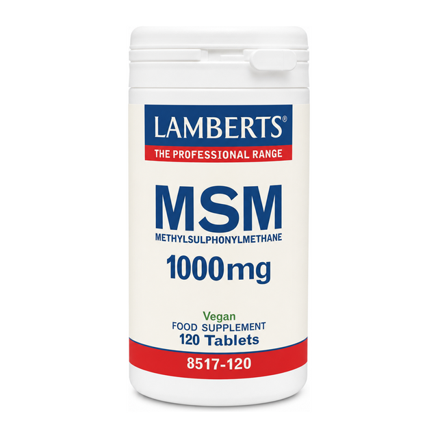 LAMBERTS MSM 1000mg by Lamberts Natural Remedies — front view showing product label and branding, studio product photo on white background