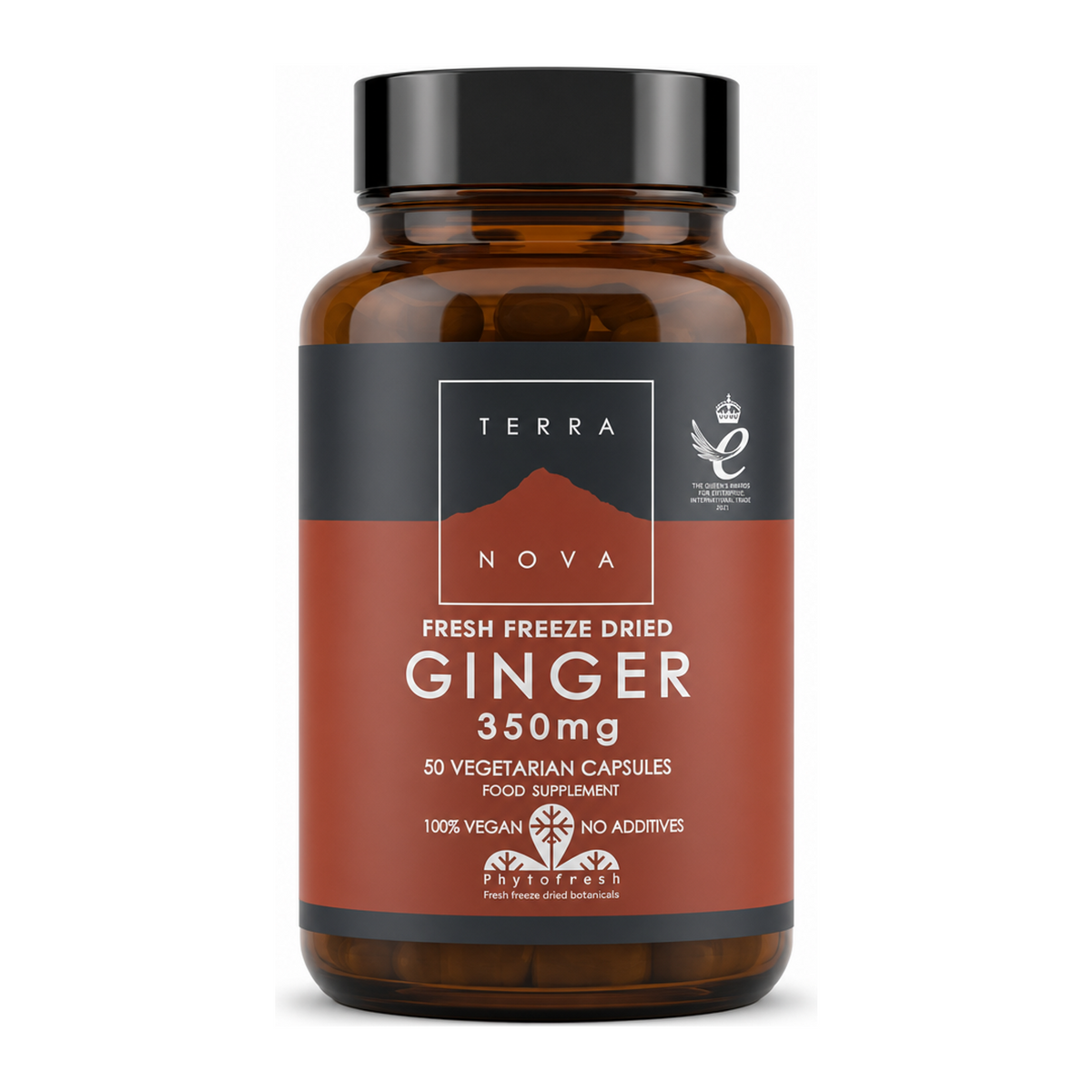 Terranova Ginger 350mg by Terranova Natural Remedies — front view showing product label and branding, studio product photo on white background