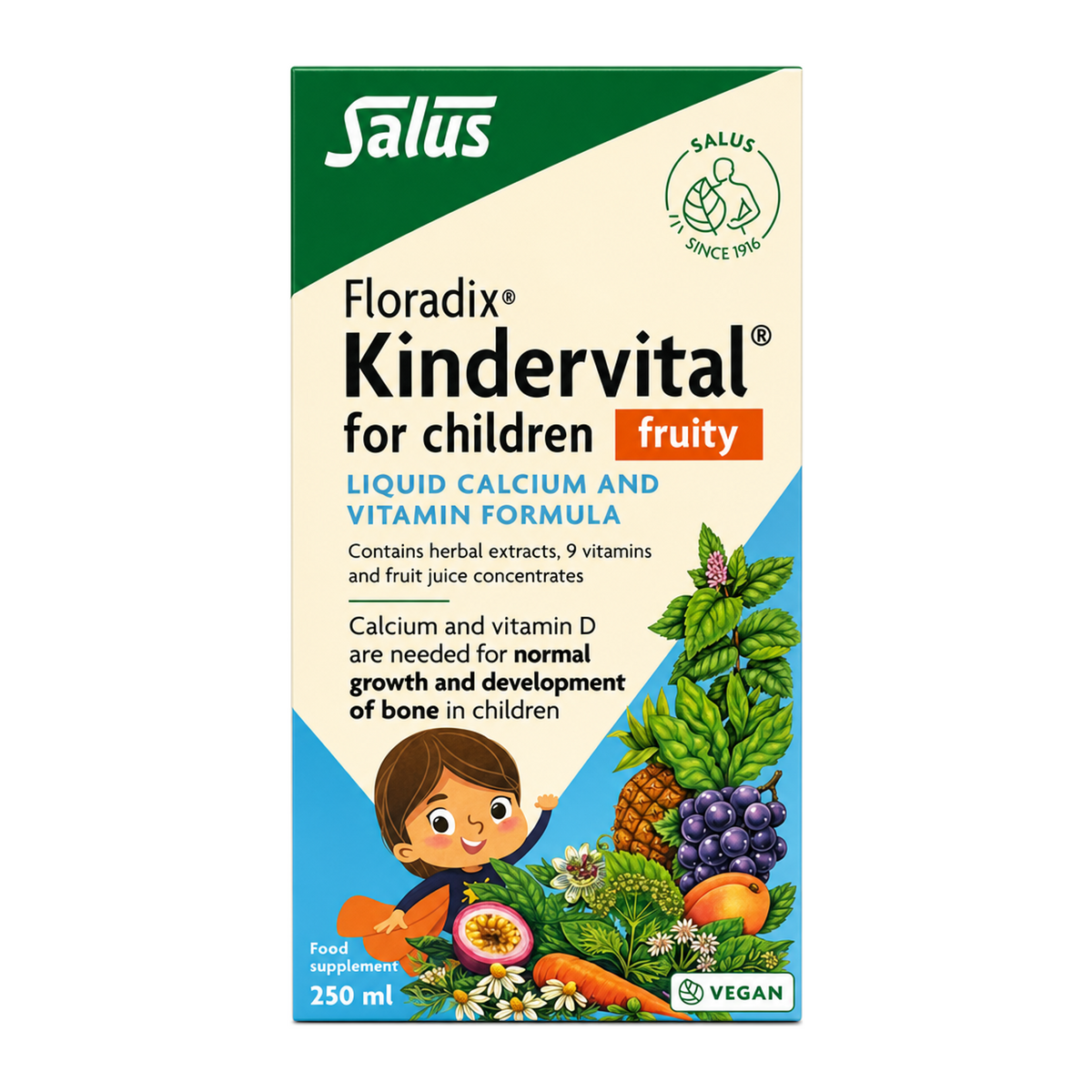 Floradix Kindervital Fruity Formula for Children by Salus Natural Remedies — front view showing product label and branding, studio product photo on white background