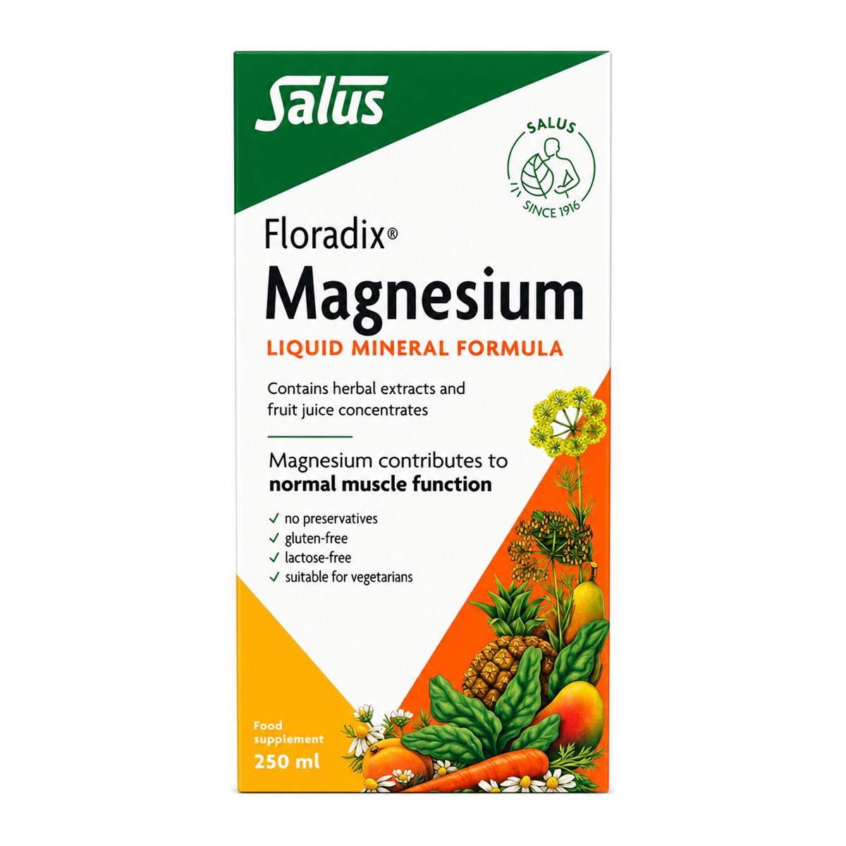 Floradix Magnesium Liquid Mineral Supplement by Salus Natural Remedies — front view showing product label and branding, studio product photo on white background
