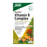 Floradix Vitamin B Complex by Salus Natural Remedies — front view showing product label and branding, studio product photo on white background