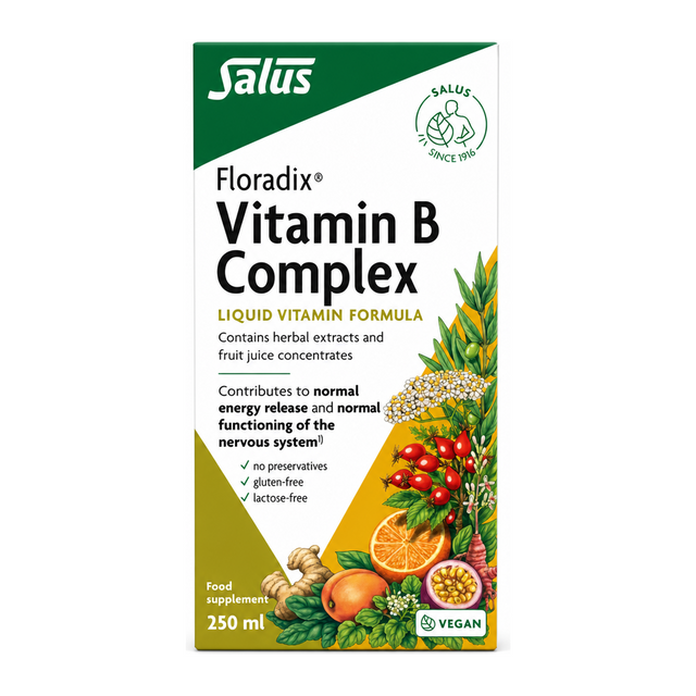 Floradix Vitamin B Complex by Salus Natural Remedies — front view showing product label and branding, studio product photo on white background