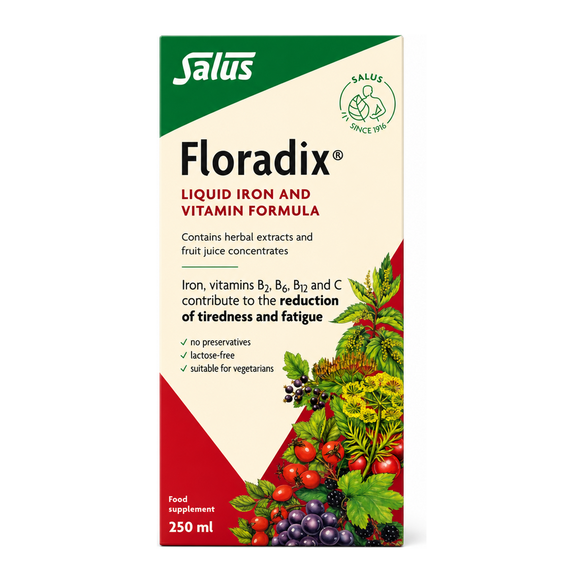Floradix Liquid Iron and Vitamin Formula — front view showing product label and branding, studio product photo on white background