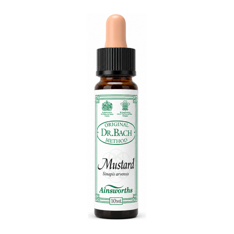 Dr Bach Mustard Bach Flower Remedy — front view showing product label and branding, studio product photo on white background