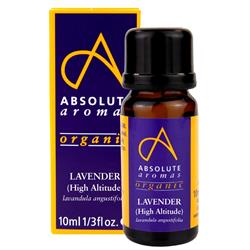 Absolute Aromas Organic Lavender Oil