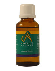Absolute Aromas Eucalyptus Globulus Oil