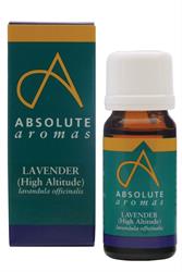 Absolute Aromas Lavender Oil