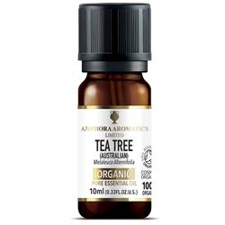 Amphora Aromatics Tea Tree Organic Essential Oil