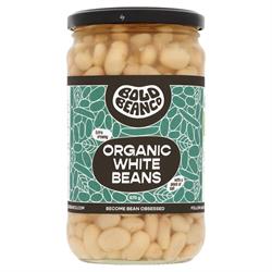 Bold Bean Co Organic White Beans 5