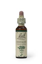 Bach Original Flower Remedies Centaury