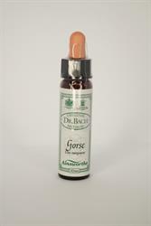 Dr. Bach Gorse Bach Flower Remedy