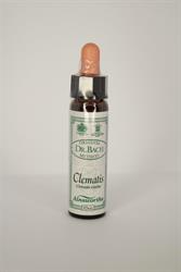Ainsworths Dr Bach Clematis Flower Remedy 10ml