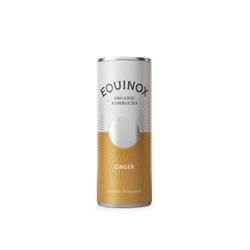 Equinox Kombucha Organic Kombucha Soft Drink with Ginger