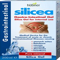 Hubner Silicea Gastrointestinal Gel