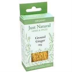 Just Natural Organic Ground Ginger (Box)