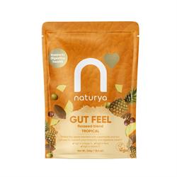 Naturya Gut Feel Flaxseed Blend Tropical