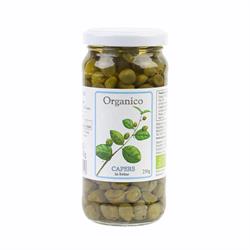 Organico Organic Capers in Brine g