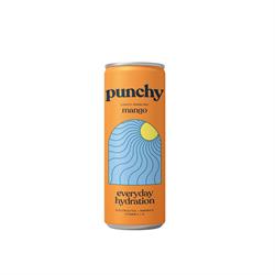 Punchy Mango Hydration