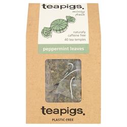 Teapigs peppermint leaves 15 tea temples