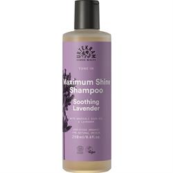 Urtekram Soothing Lavender Shampoo Normal Hair ml